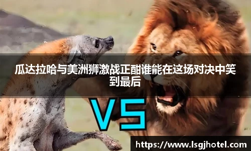 谈球吧官方网站